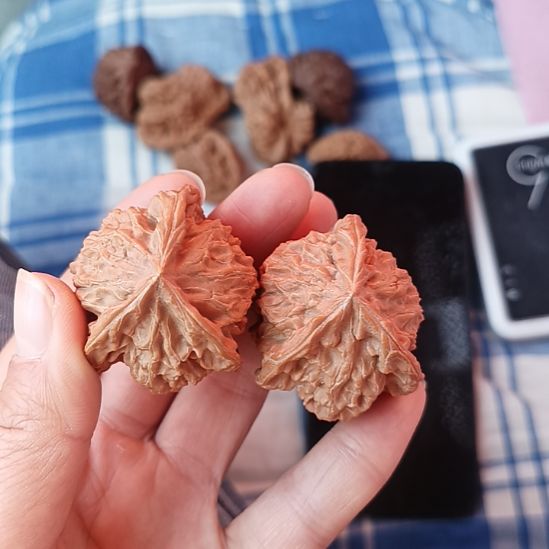 ****️盘山文玩核桃三棱子全品