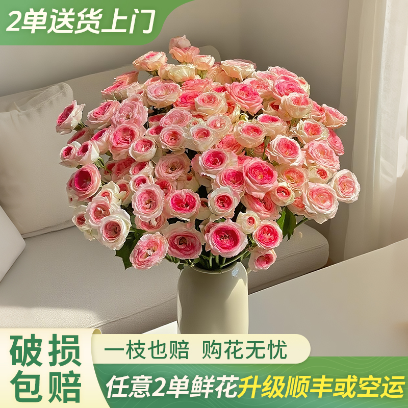 【大聪明卖花】午夜魔法多头玫瑰云南直发鲜花家居水养鲜花花束客厅