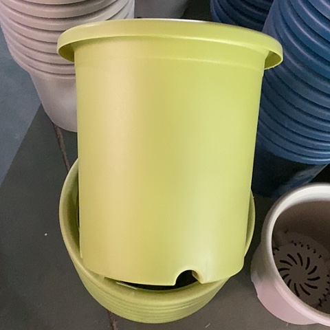 树脂四季7号微瑕果绿无托6个