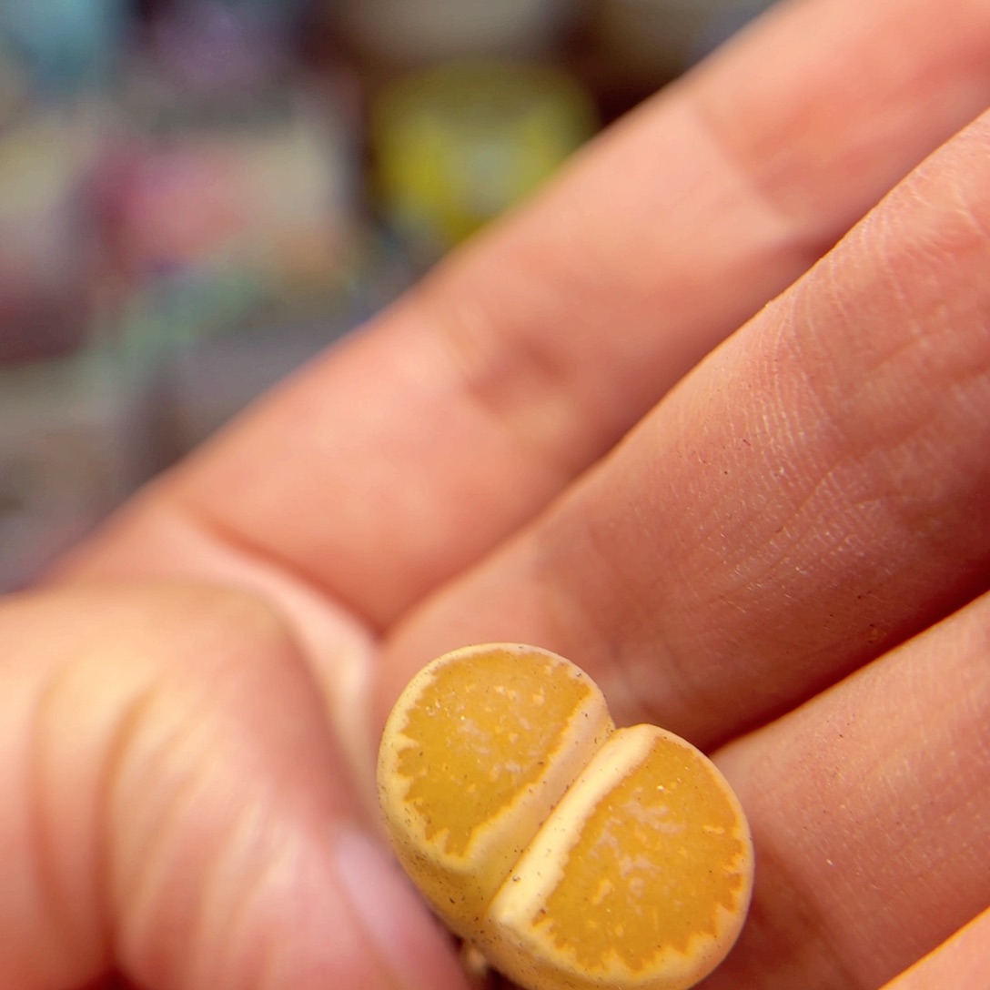 334 888888888888888888