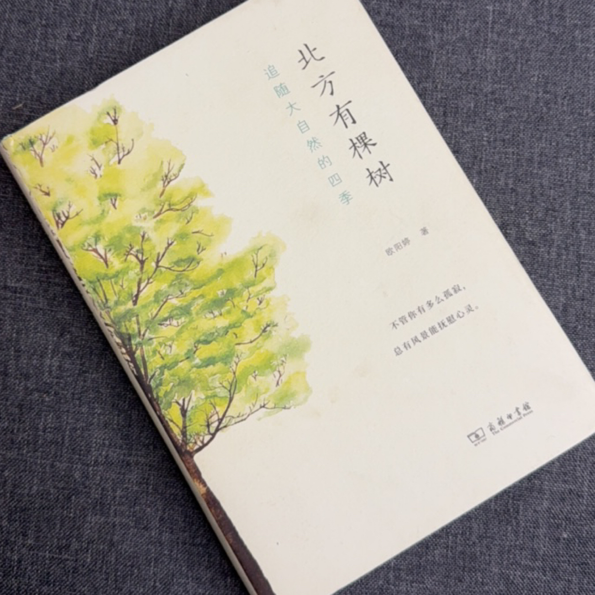 8新 书旧书瑕疵书注意边角破损品相8品旧