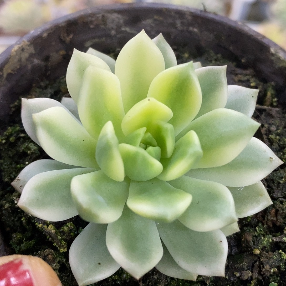 509哈哈哈哈哈哈哈哈