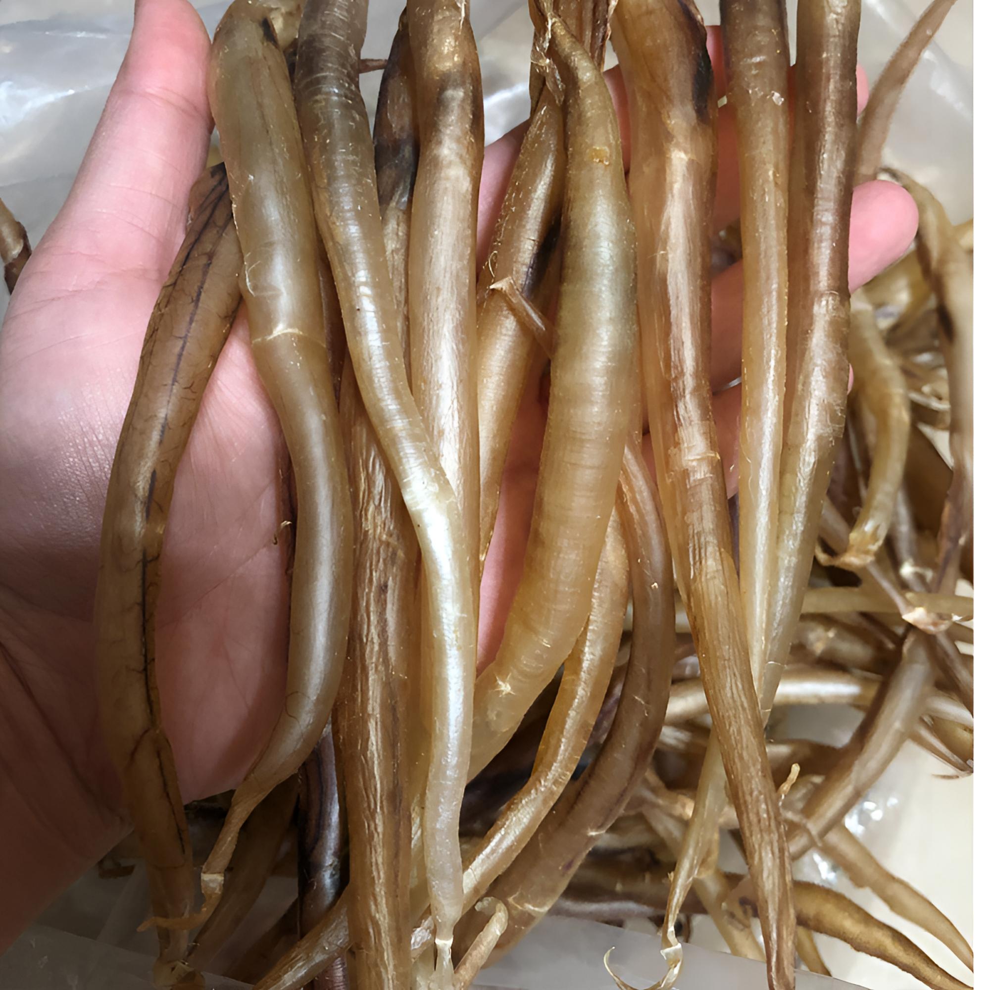 200头鳗鱼胶 厚身渔民自晒黄门膳胶鳗鱼胶泡