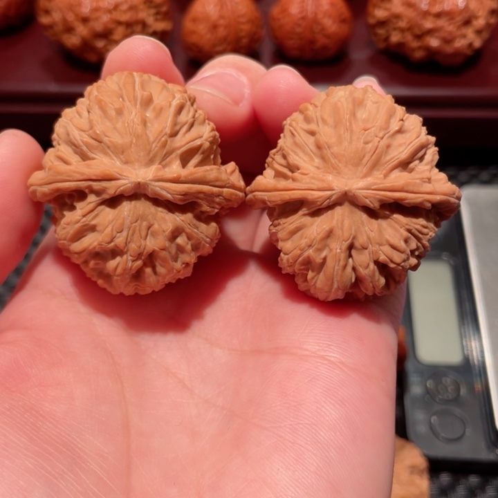 把件文玩核桃大*话白狮子