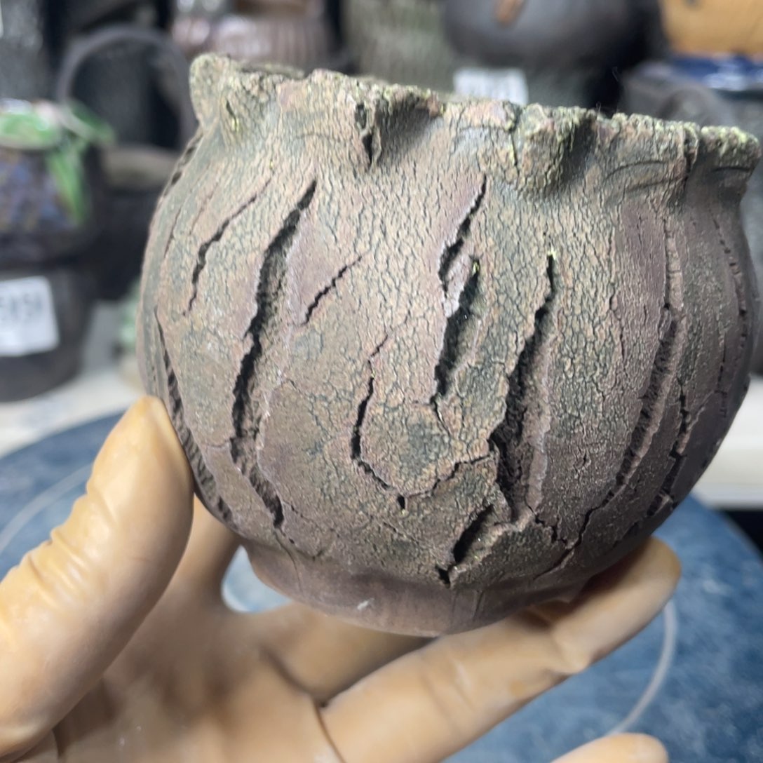 红陶一个人的时候就