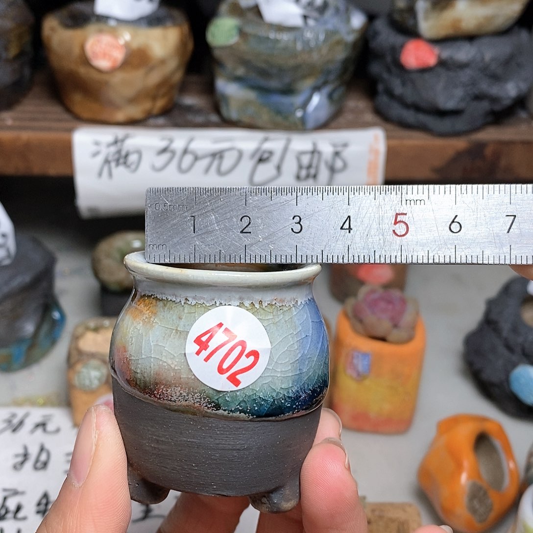 红陶拍5送一个小