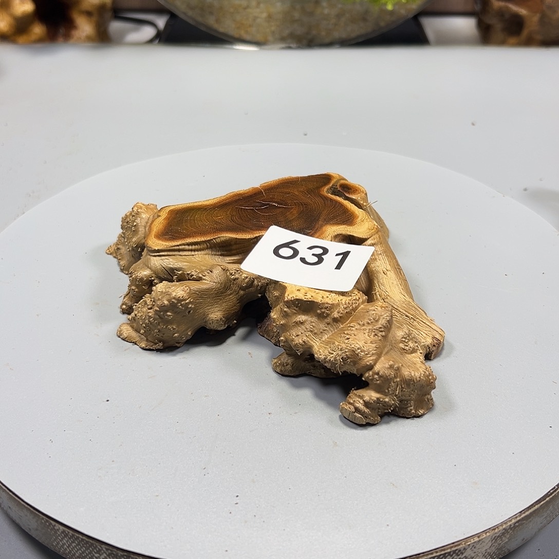 大果紫檀（缅甸花梨）A****9