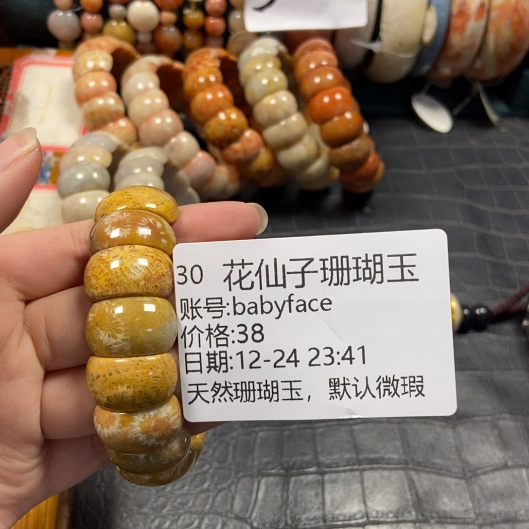 b***e硅化珊瑚（珊瑚玉）未镶嵌珠宝半成品30