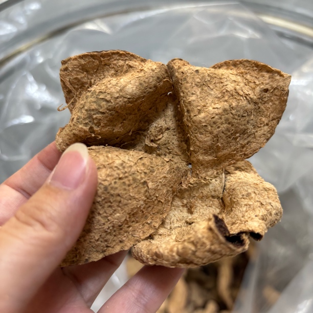 天马老皮（13年高年份）陈香味