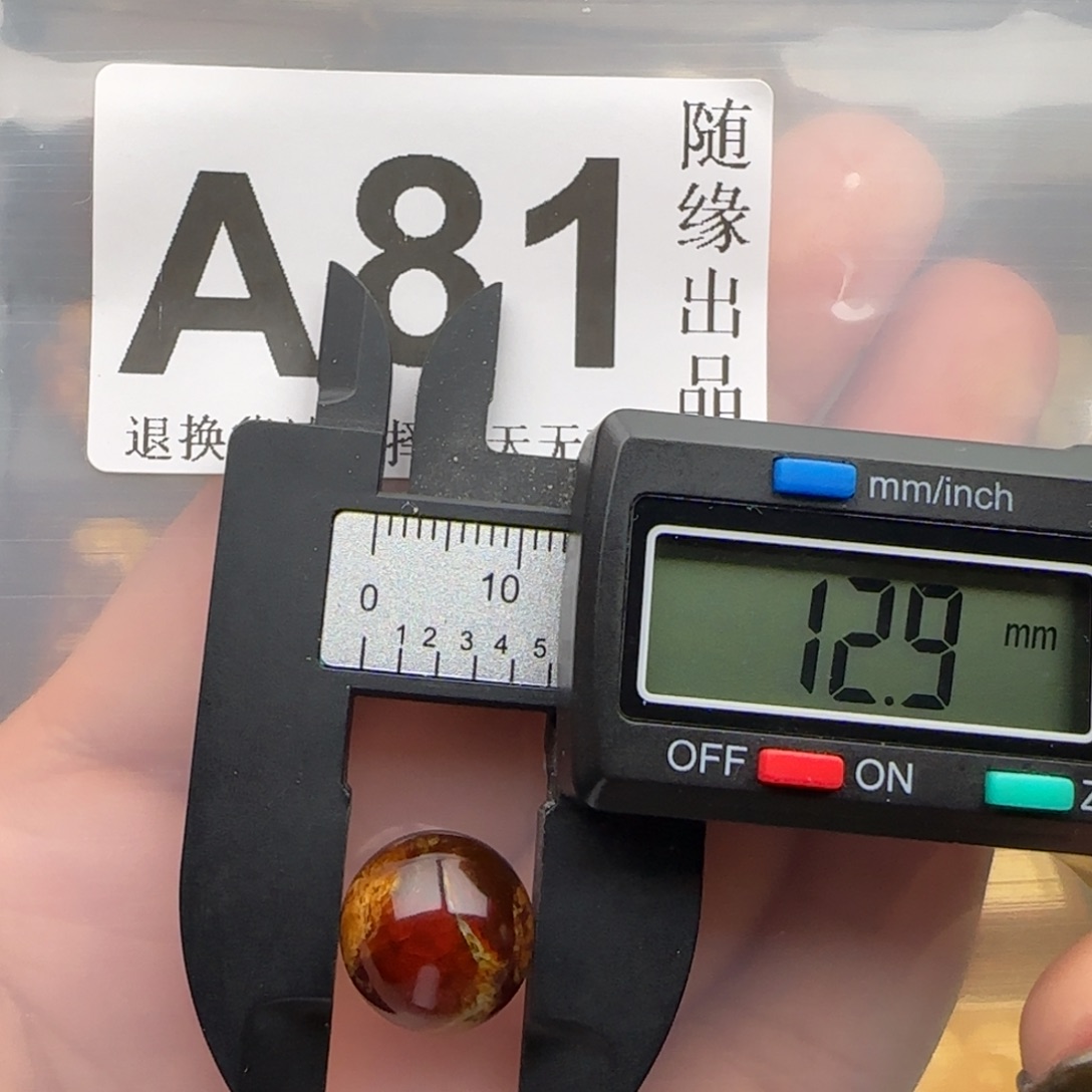 琥珀未镶嵌裸石12尺寸