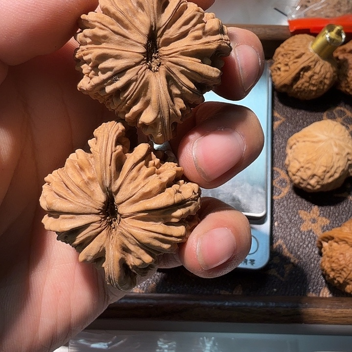 核桃全品无修蓟县四座楼