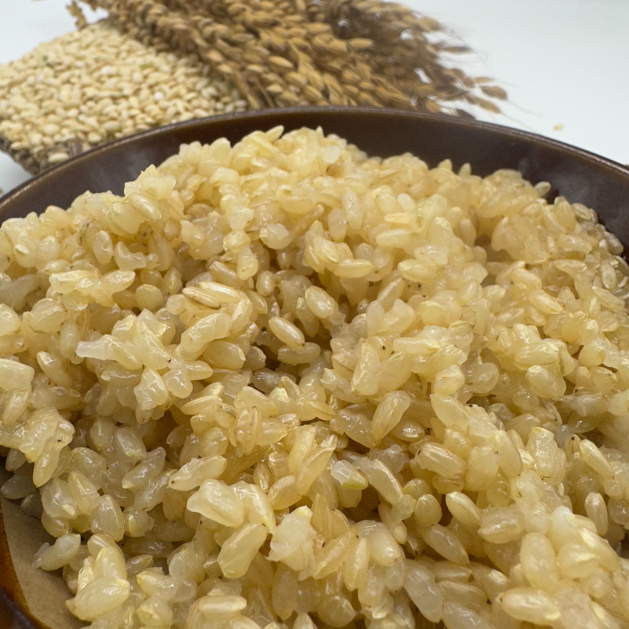  老品种铜禾香糯米 带胚芽的大米 老品种红禾糯 贵州高山梯田粗粮