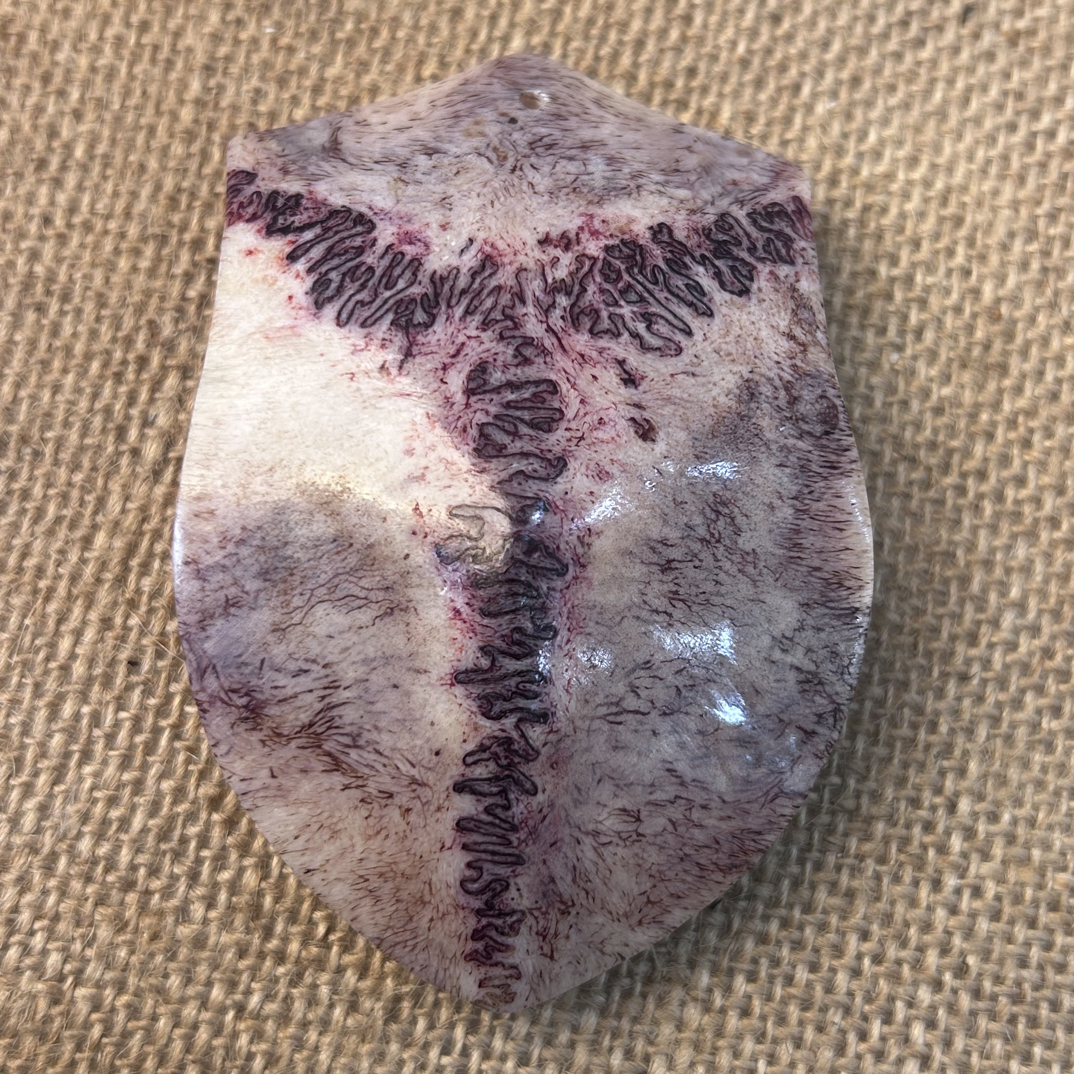 养殖梅花鹿三界牌