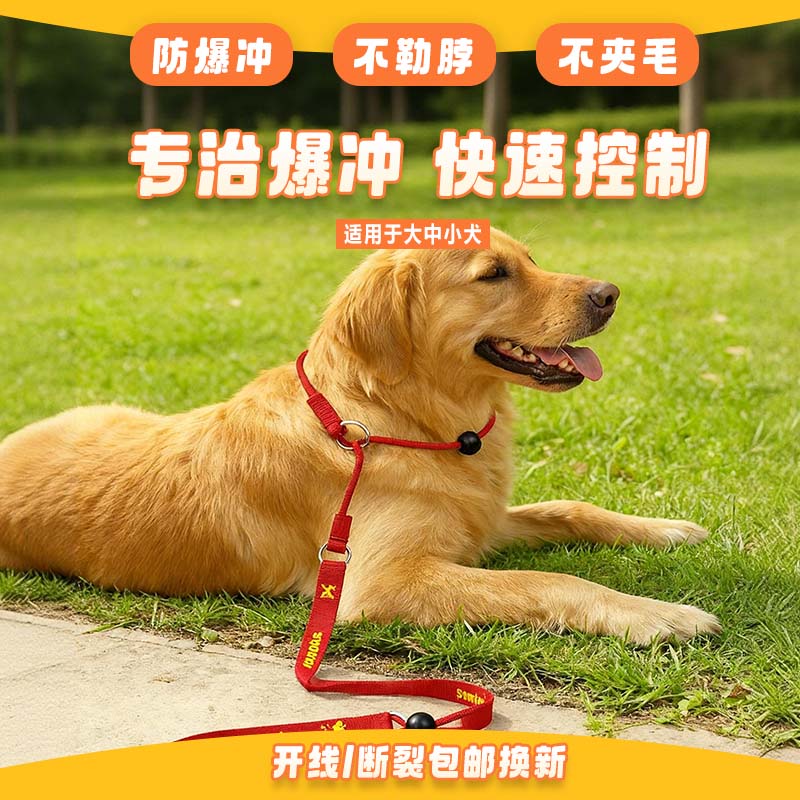 赛级P链训犬绳中小型犬防爆冲遛狗通用p绳牵引绳