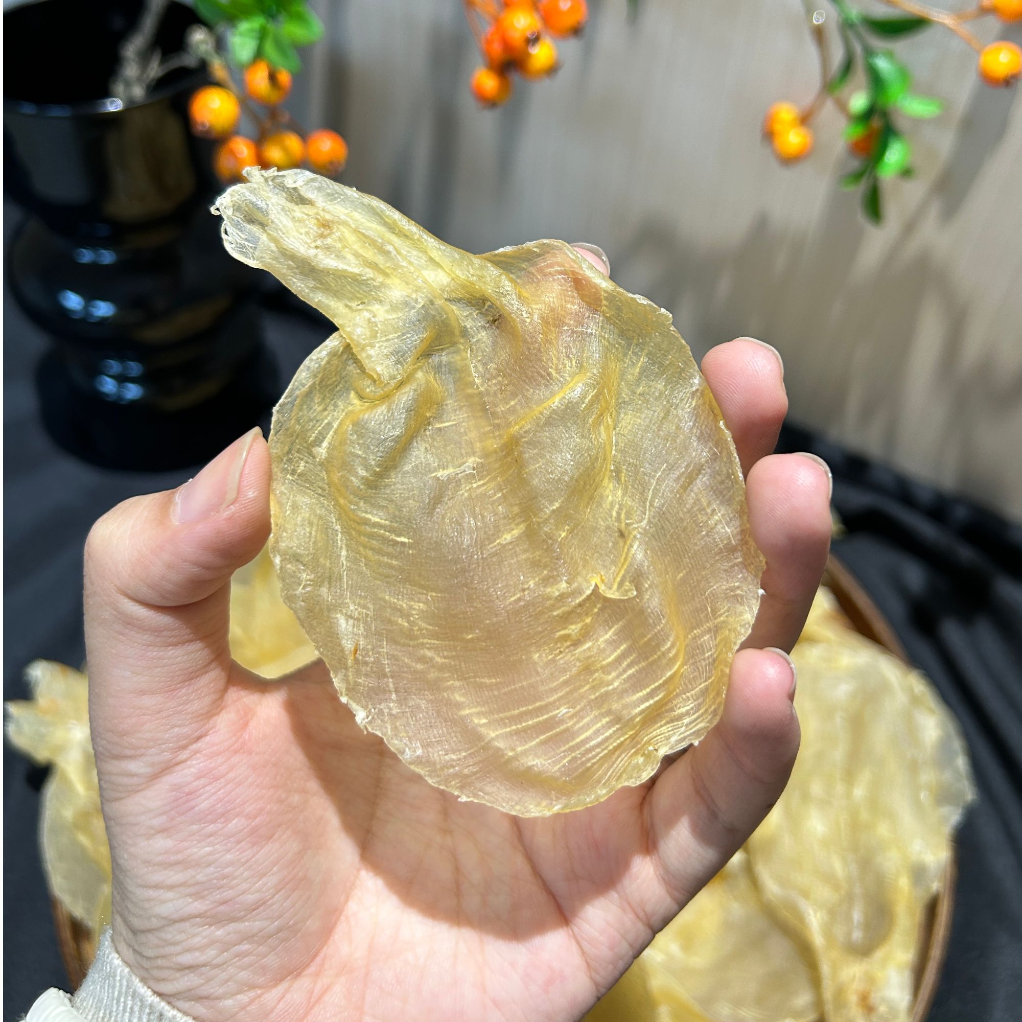 79头蜘蛛胶片 甲肚片 花胶鱼胶 滋补养生口感Q弹厚肉 