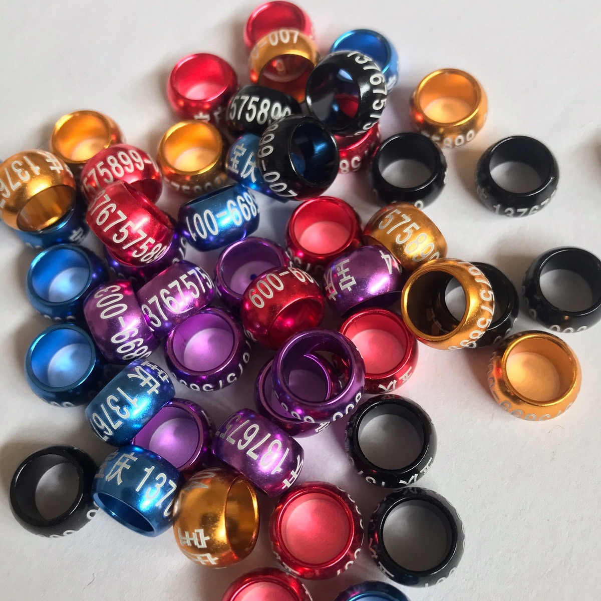 鸽子脚环定做刻字赛鸽观赏肉鸽元宝双卷铝环私人定制鸟用识别环