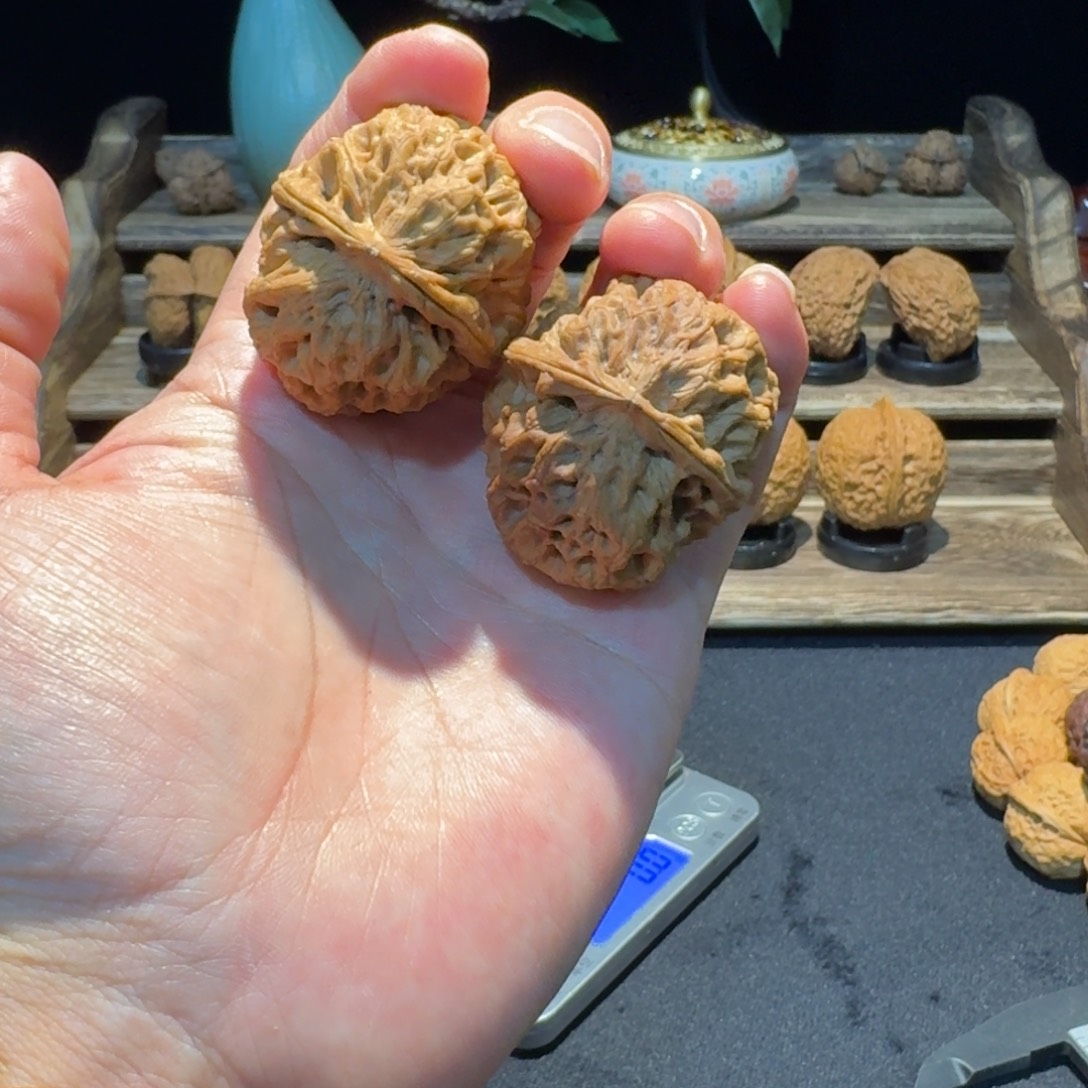 把件文玩核桃云南铁核桃17