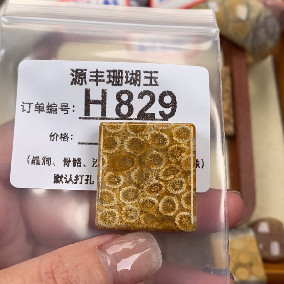 硅化玉颈饰未镶嵌