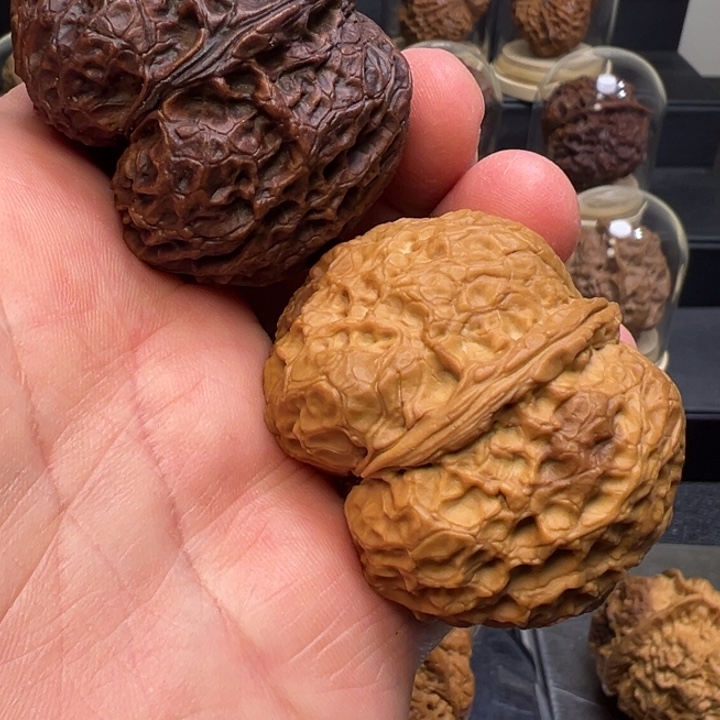 文玩核桃把件至尊元宝46mm