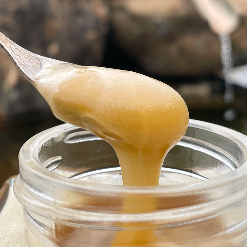 【南斗荒野（科技户外）专属】土蜂蜜 深山土蜂蜜