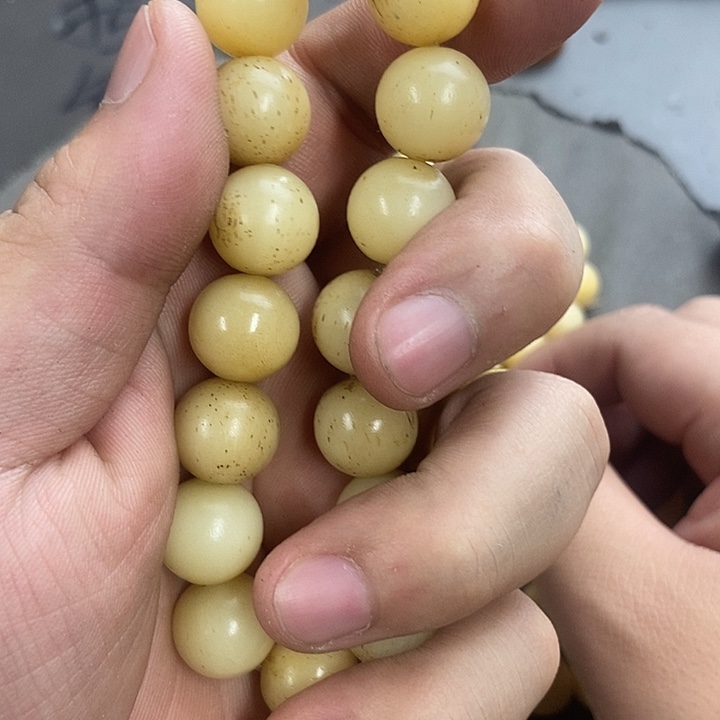 大果紫檀（缅甸花梨）899