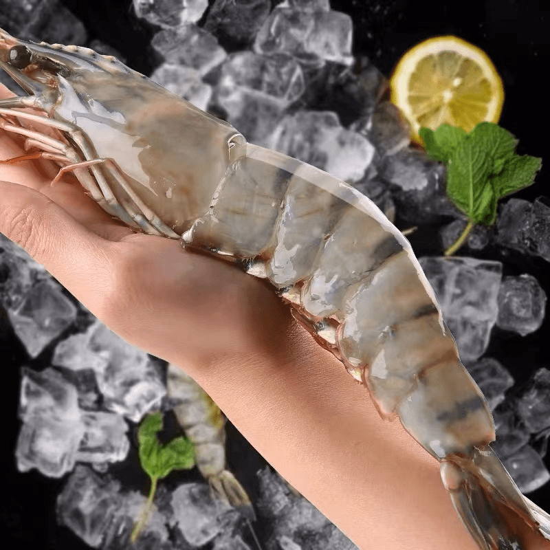 【净重3斤】超大黑虎虾个大无冰肉质紧实Q弹连云港顺丰包邮