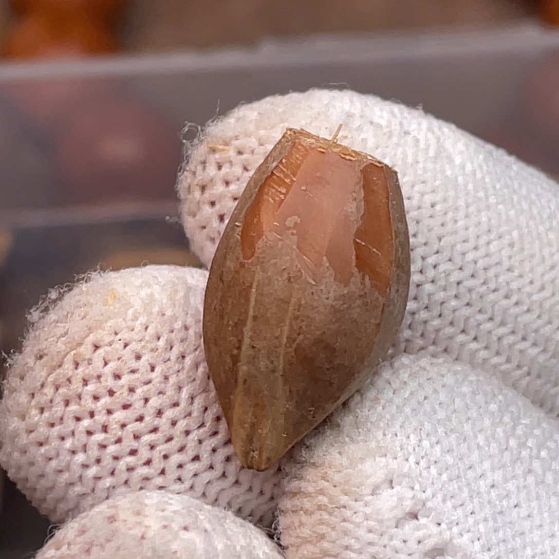 陈***希橄榄核手串/手链1