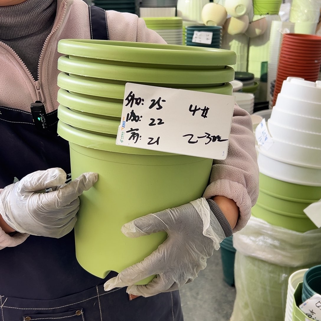 四季盆4#果绿色8个无托