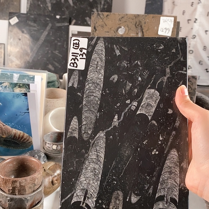 黄***生角石化石茶盘干泡台