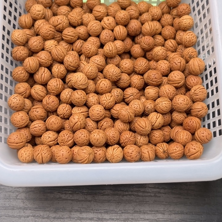 用***1木质类小桃核散籽批发1000