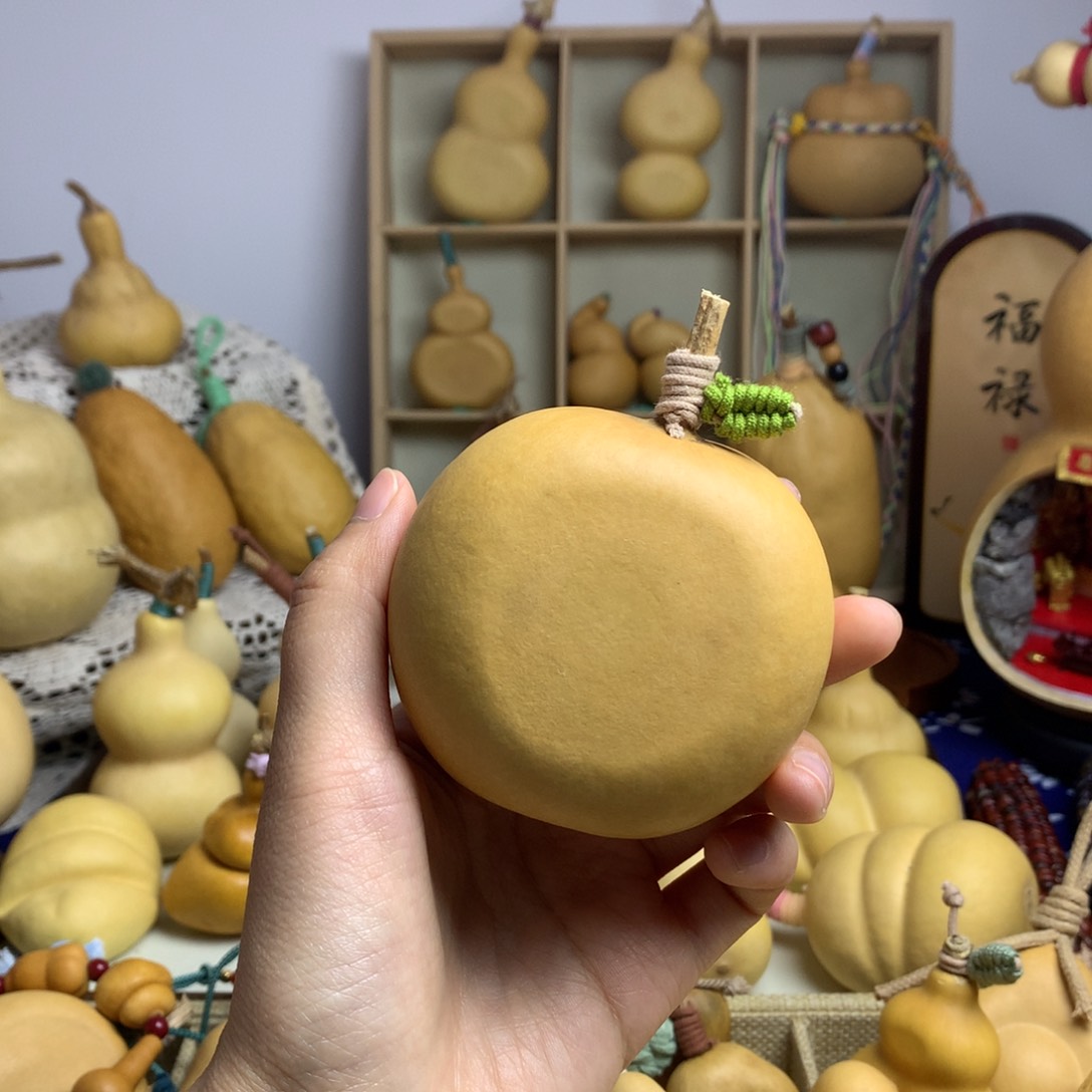 葫芦19号厚苹果扁扁