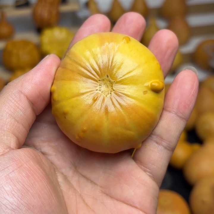 福利福利福利福利