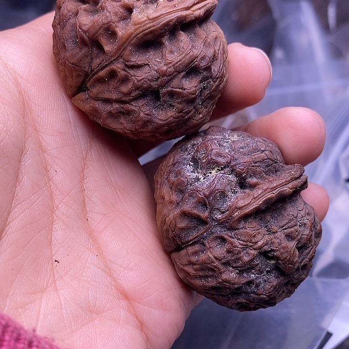 文玩核桃把件  175