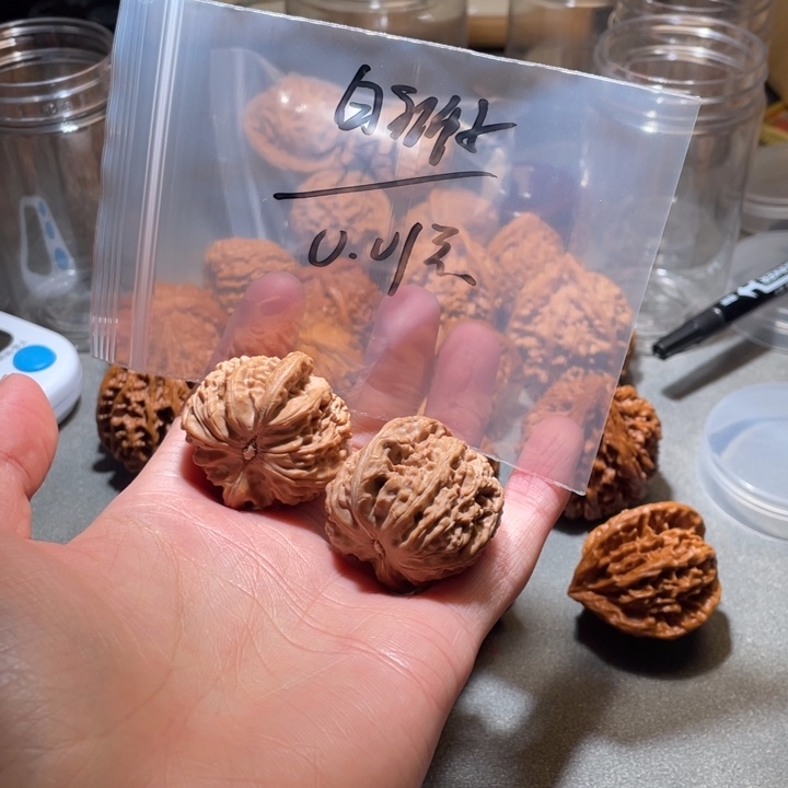 吊坠文玩核桃白狮子