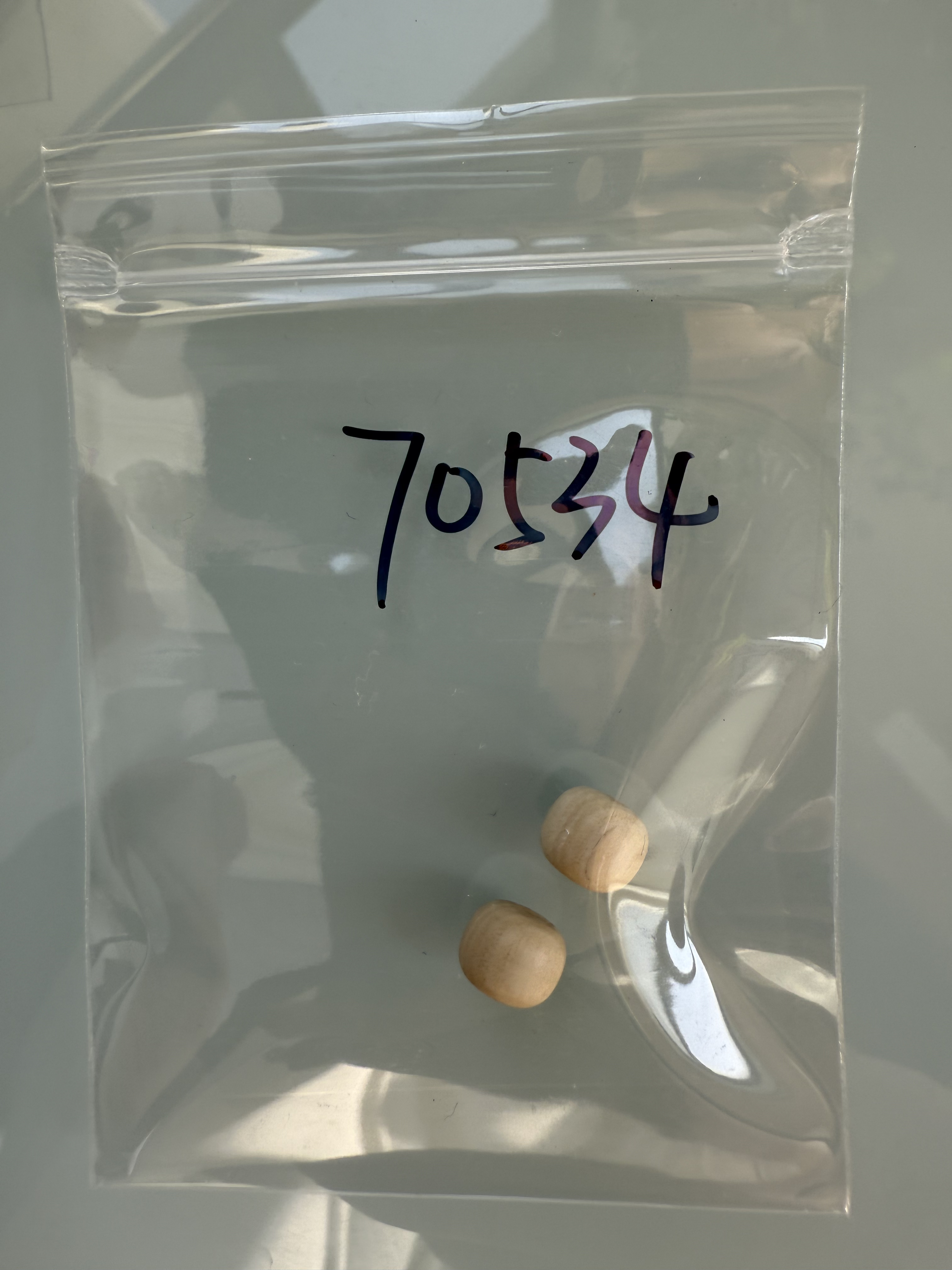 70534天然猛犸牙对珠瑕疵配饰介意勿拍