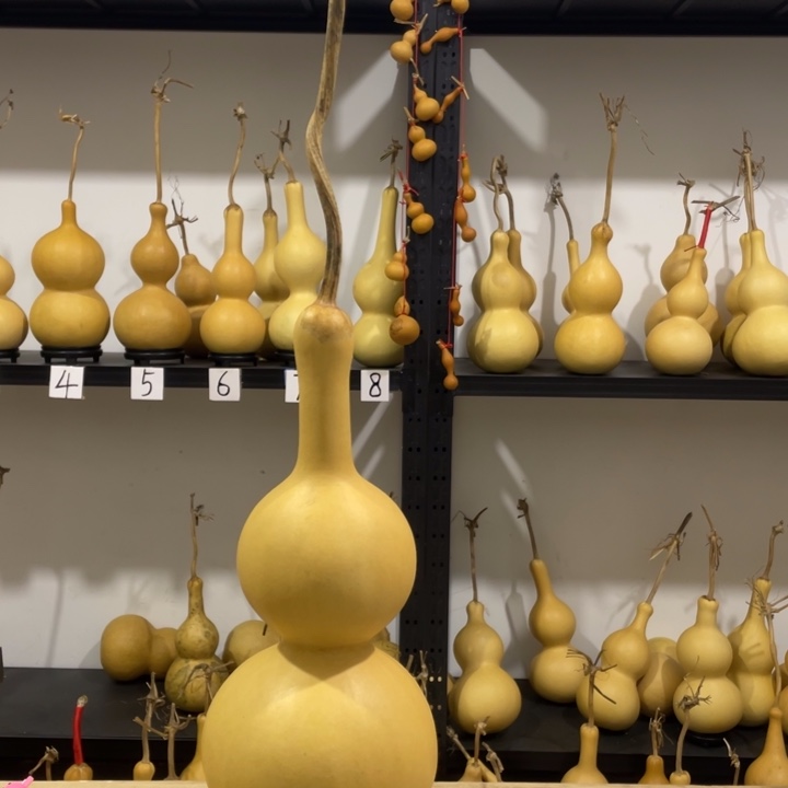 沿***柳长嘴46肚厚皮大八宝