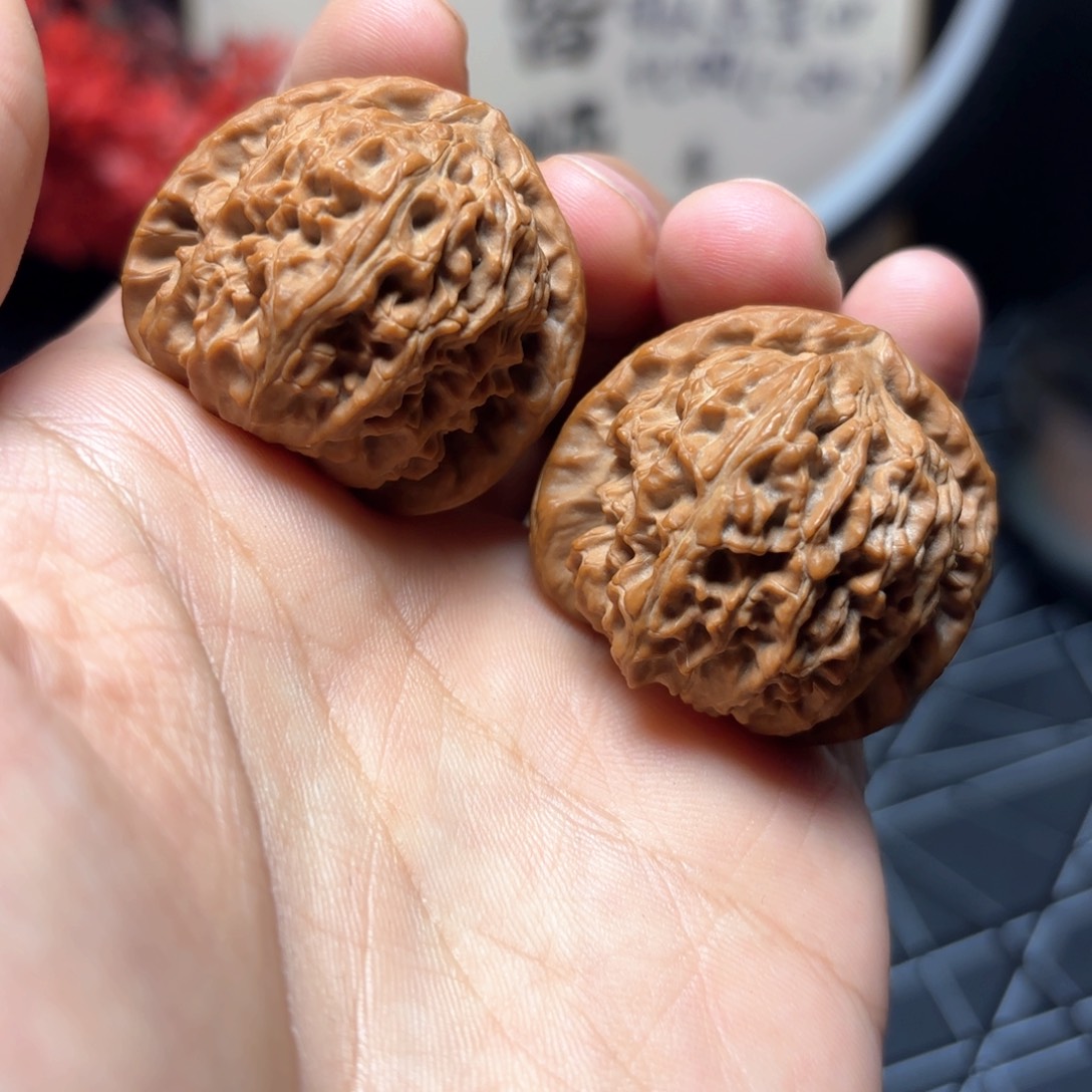 文玩核桃把件36尺全品白狮子