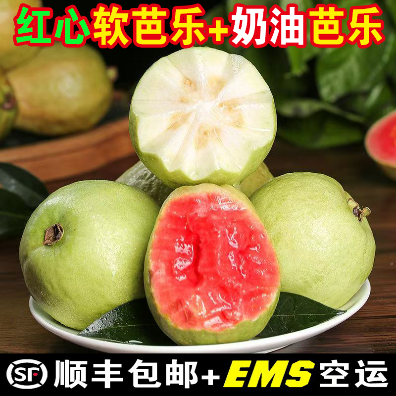 【放软吃】广西红心芭乐新鲜水果软糯白心奶油芭乐红心番石榴3/5斤