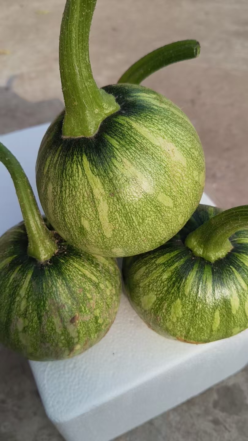 四川本地农家自种小南瓜现摘现发