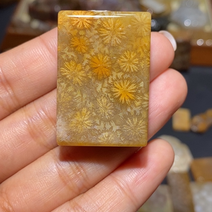 【闪购商品】未镶嵌珊瑚玉硅化玉
