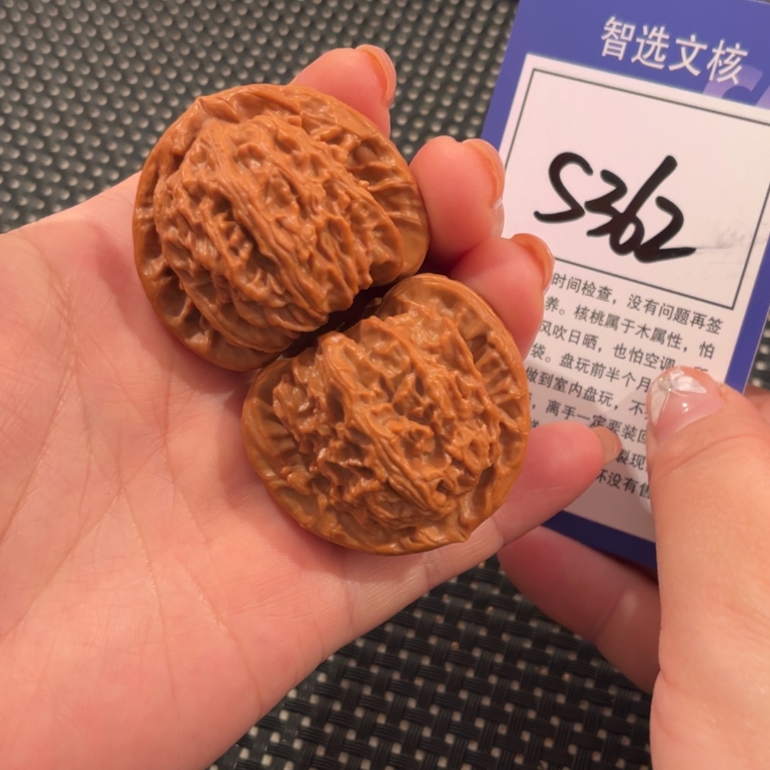 核桃S362号白狮子40尺