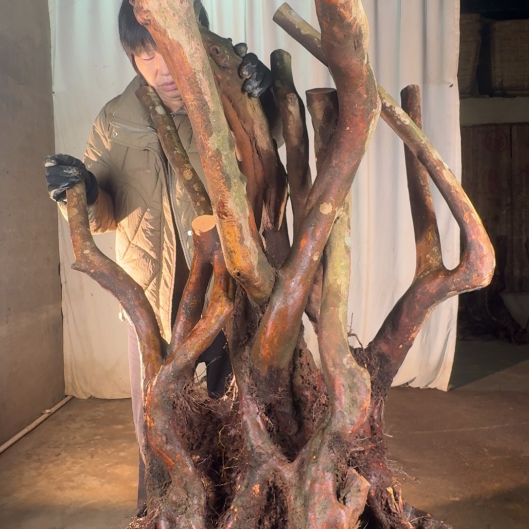 淡***然888888888888@kiikkjkkkkkkkk