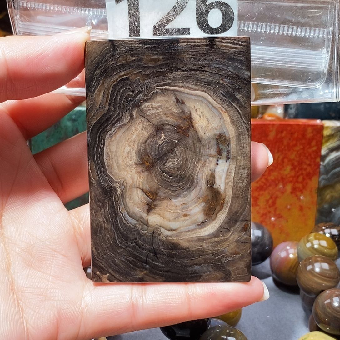 未镶嵌天然北票硅化玉吊坠硅化玉