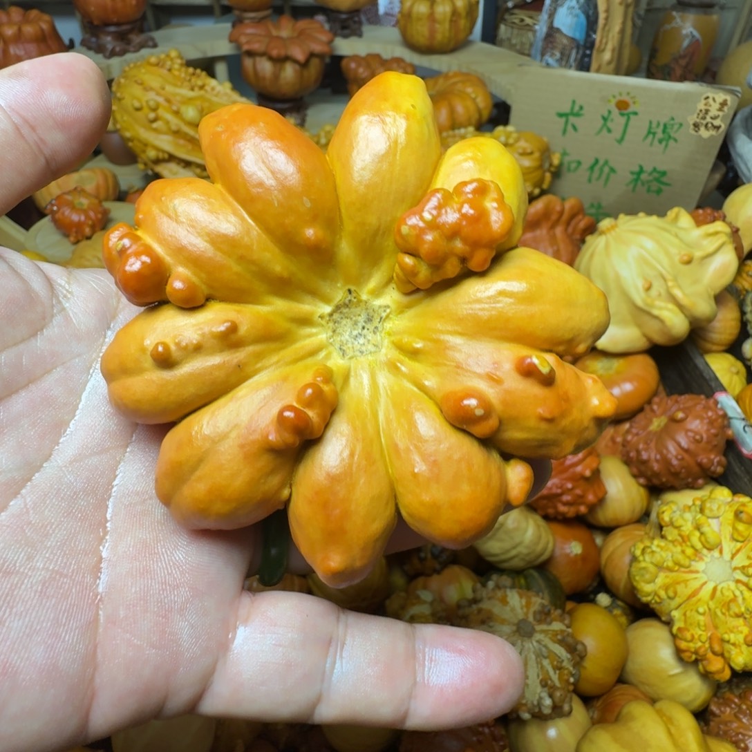 小***雅特价葫芦不退不换