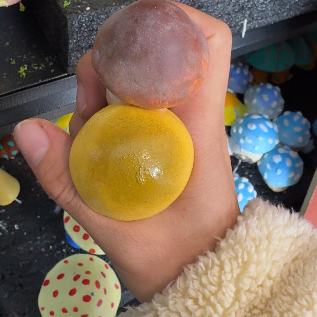 树脂制品47号2个莫莫莫