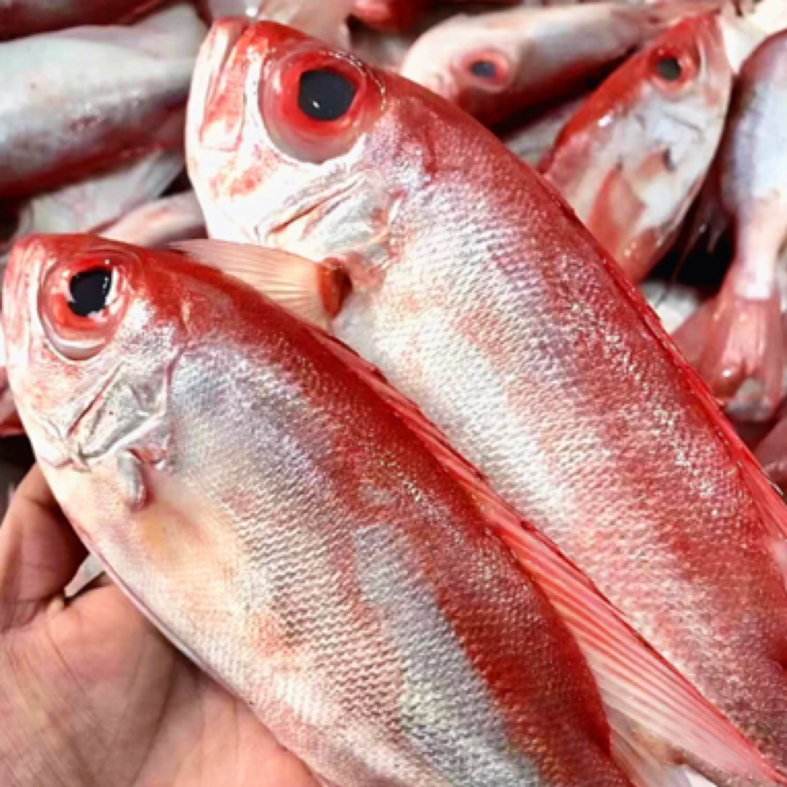 神泉 本港扫莲小红目鲢  省内包邮
