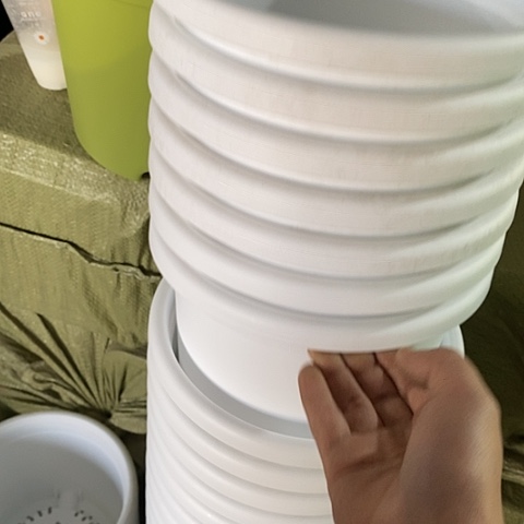 树脂四季3号6个无托白