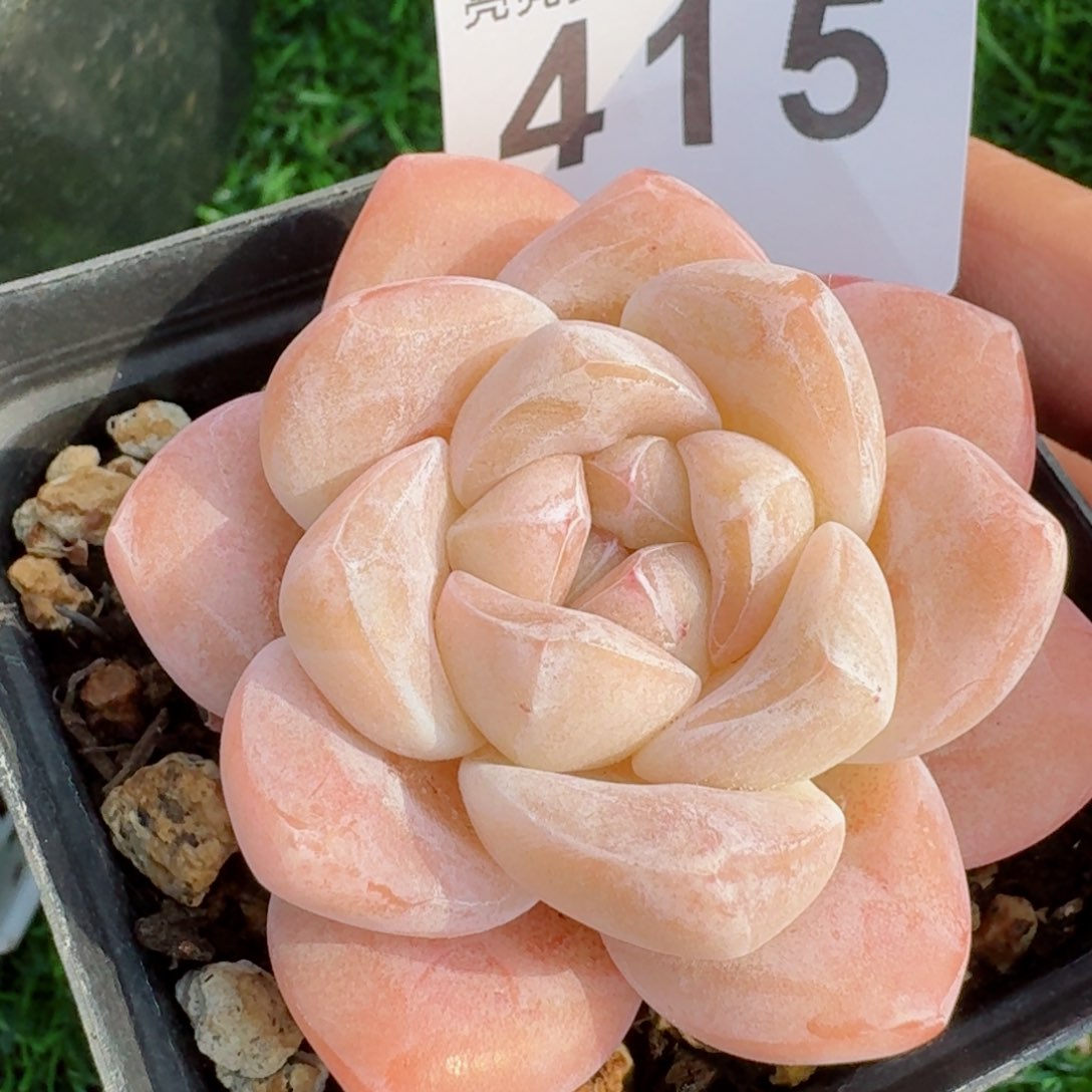   开播福利捡漏随单发满58包邮