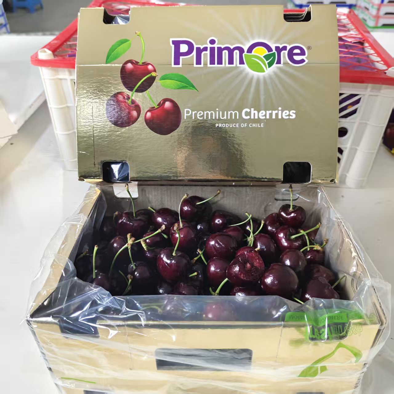 车厘子空运金都乐(4J)净重2斤5斤/内附果径卡（惠鲜水果）桑提娜樱桃智利共和国