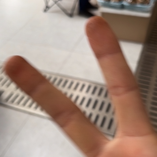 贝***照云南深山野生菌鸡枞油